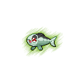 Wishiwashi (Solo)